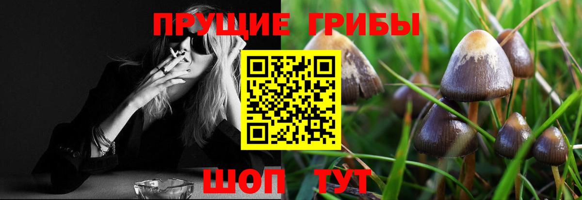 Псилоцибиновые грибы GOLDEN TEACHER Советск